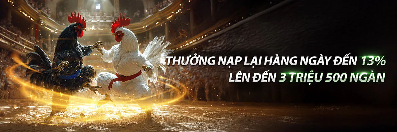Phân tích chuyên sâu về thị trường cá cược trực tuyến